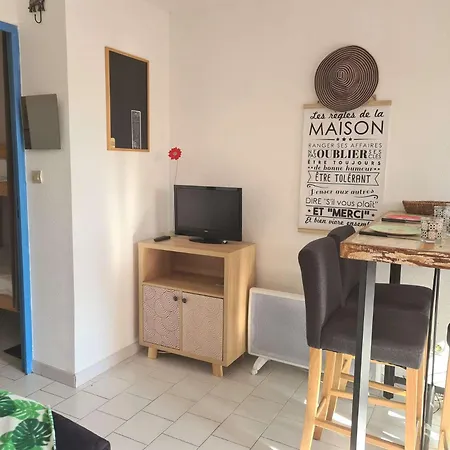 Appt 2 Pieces 4 Couchages Cap D'agde Ct045-2911 Agde