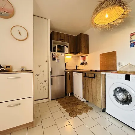 Appt 2 Pièces 4 Couchages Cap D'agde Ct045-2911