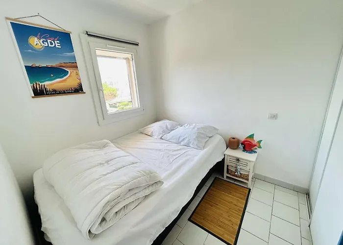 Appt 2 Pieces 4 Couchages Cap D'agde Ct045-291 阿格德