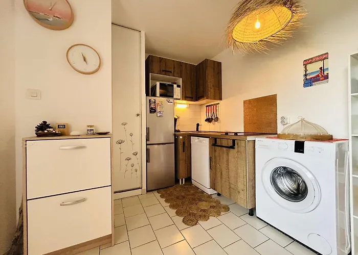 Appt 2 Pieces 4 Couchages Cap D'agde Ct045-291