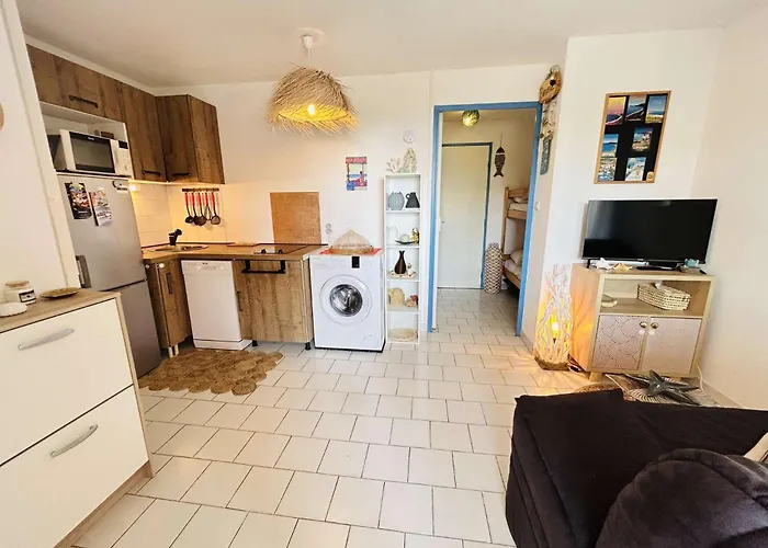 Appt 2 Pieces 4 Couchages Cap D'agde Ct045-291 阿格德