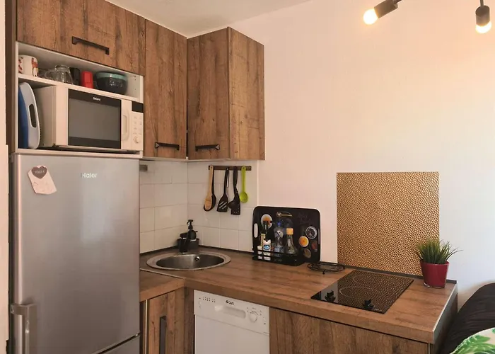 Appt 2 Pieces 4 Couchages Cap D'agde Ct045-291