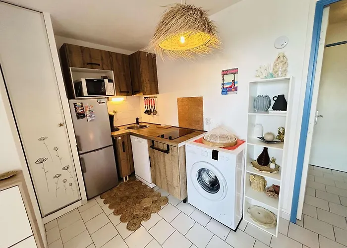 Appt 2 Pieces 4 Couchages Cap D'agde Ct045-291 *